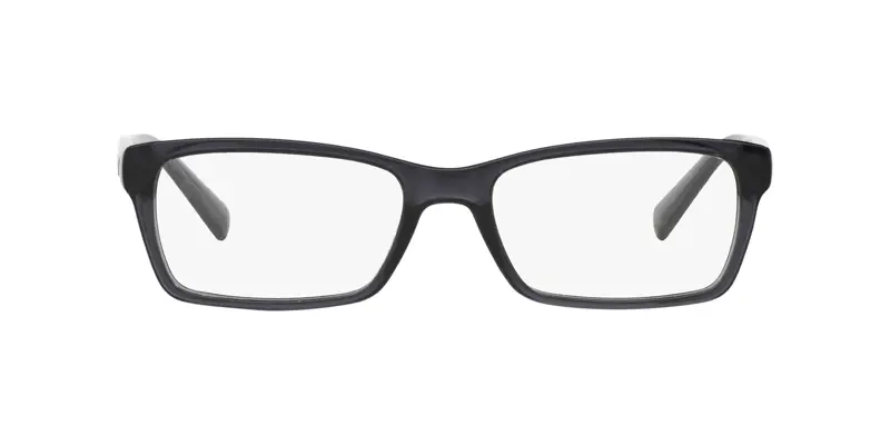 Armani Exchange AX3007 8005