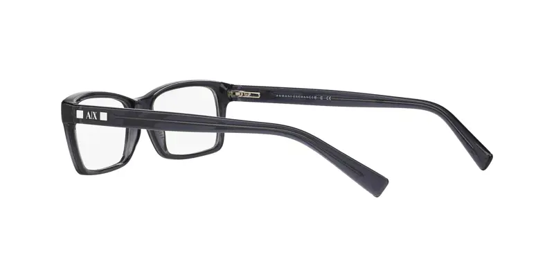 Armani Exchange AX3007 8005