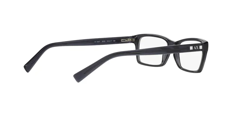 Armani Exchange AX3007 8005