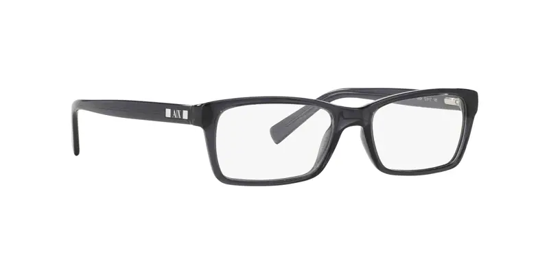 Armani Exchange AX3007 8005