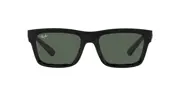 Ray-Ban Warren RB4396 667771